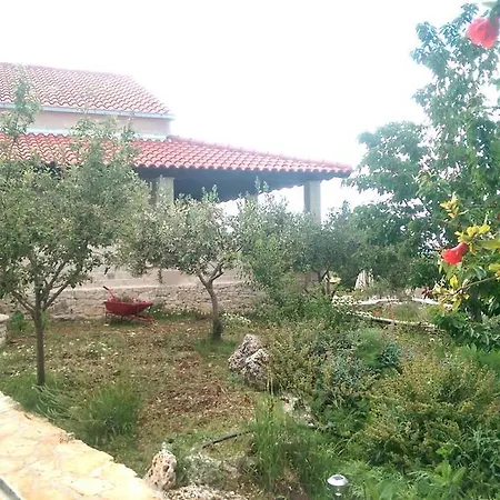 Βίλα Belvedere Ziza