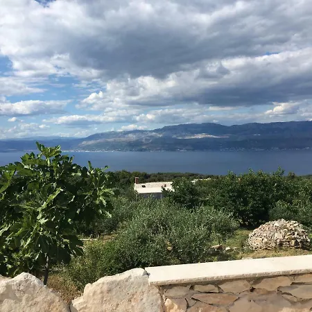 Belvedere Ziza *