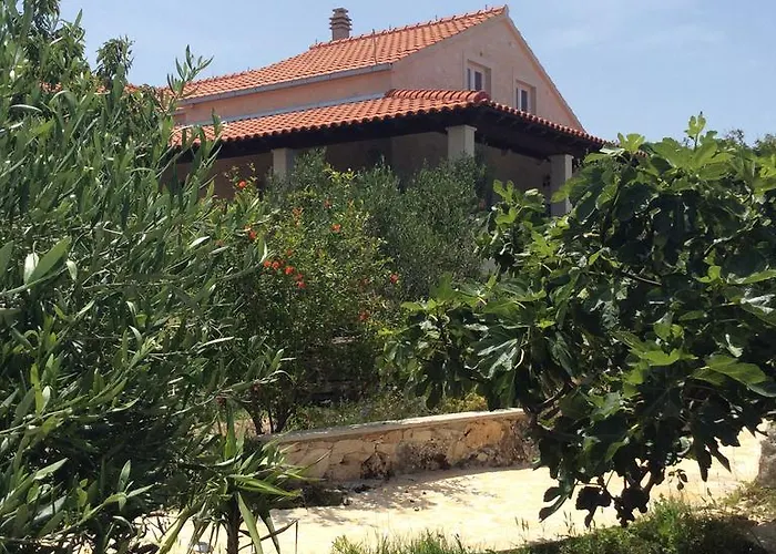 Vila Belvedere Ziza *