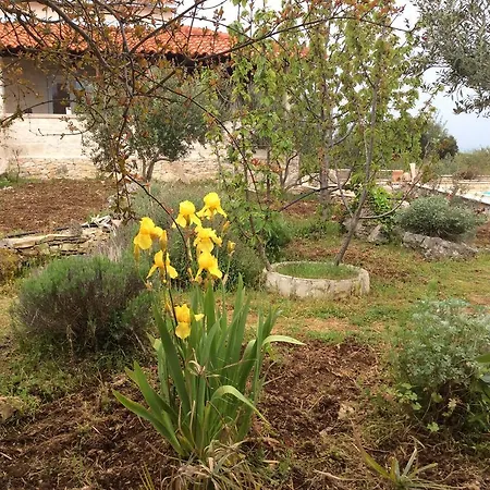 Willa Belvedere Ziza *