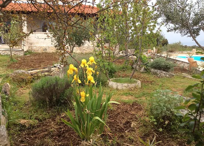 빌라 Belvedere Ziza *